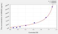 Mouse sRAGE(Soluble receptor for advanced glycation endproducts) ELISA Kit