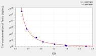 Horse Testo(Testosterone) ELISA Kit