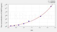 Human CASP7(Caspase 7) ELISA Kit