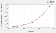 Rat LRP1(Low Density Lipoprotein Receptor Related Protein 1) ELISA Kit