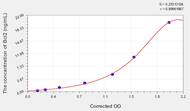 Sheep Bcl2(B-Cell Leukemia/Lymphoma 2) ELISA Kit