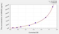 Cattle sRAGE(Soluble receptor for advanced glycation endproducts) ELISA Kit