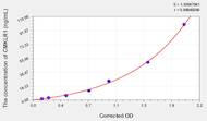 Human CMKLR1(Chemokine-like receptor 1) ELISA Kit