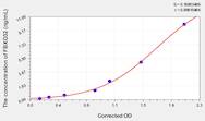 Rat FBXO32(F-Box Protein 32) ELISA Kit