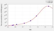 Human SPA(Surfactant Associated Protein A) ELISA Kit