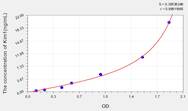 Human Kim1(Kidney Injury Molecule 1) ELISA Kit