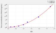 Rat Kim1(Kidney Injury Molecule 1) ELISA Kit