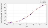 Mouse a1M(α-1-Microglobulin/Bikunin Precursor) ELISA Kit