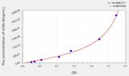 Rat sC5b-9(Soluble Terminal Complement Complex C5b-9) ELISA Kit