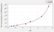 Pig RBP4(Retinol Binding Protein 4, Plasma) ELISA Kit