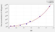 Goat HP(Haptoglobin) ELISA Kit