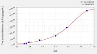 Rat IFNg(Interferon γ) ELISA Kit