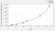 Human VCAM1(Vascular Cell Adhesion Molecule 1) ELISA Kit