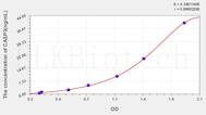 Mouse CASP3(Caspase 3) ELISA Kit