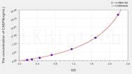 Human CASP9(Caspase 9) ELISA Kit