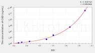 Human CAD(Caspase Activated DNase) ELISA Kit