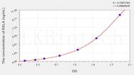 Rat NFκB-p65(Nuclear Factor κ B p65) ELISA Kit