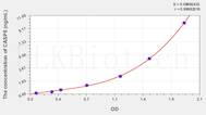 Human CASP5(Caspase 5) ELISA Kit