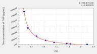 Rat TAP(Trypsinogen Activation Peptide) ELISA Kit