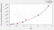 Human BMP6(Bone Morphogenetic Protein 6) ELISA Kit