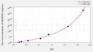 Human VEGFR2(Vascular Endothelial Growth Factor Receptor 2) ELISA Kit