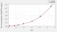 Rabbit ANG2(Angiopoietin 2) ELISA Kit