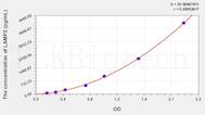 Human LAMP2(Lysosomal Associated Membrane Protein 2) ELISA Kit