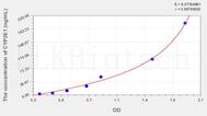 Rat CYP2E1(Cytochrome P450 2E1) ELISA Kit