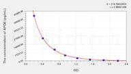 Rabbit APOE(Apolipoprotein E) ELISA Kit