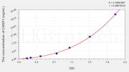 Human CASP1(Caspase 1) ELISA Kit