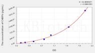 Human C4BPb(C4 Binding Protein β) ELISA Kit