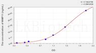 Human MMP11(Matrix Metalloproteinase 11) ELISA Kit