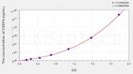 Human CASP4(Caspase 4) ELISA Kit