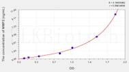 Mouse MMP2(Matrix Metalloproteinase 2) ELISA Kit