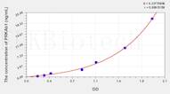 Human PRKAb1(Protein Kinase, AMP Activated β 1) ELISA Kit