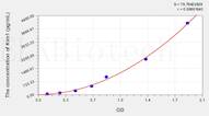 Rat Kim1(Kidney Injury Molecule 1) ELISA Kit