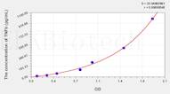 Human TNFb(Tumor Necrosis Factor β) ELISA Kit