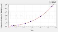 Human MMP12(Matrix Metalloproteinase 12) ELISA Kit