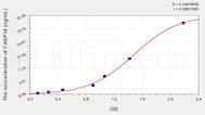 Rat CASP14(Caspase 14) ELISA Kit