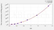 Rabbit IFNg(Interferon γ) ELISA Kit