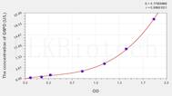 Rat G6PD(Glucose 6 Phosphate Dehydrogenase) ELISA Kit