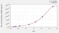 Rat MIF(Macrophage Migration Inhibitory Factor) ELISA Kit