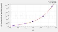 Rat FGF9(Fibroblast Growth Factor 9) ELISA Kit