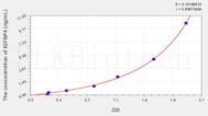 Rat IGFBP4(Insulin Like Growth Factor Binding Protein 4) ELISA Kit