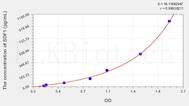 Rat SDF1(Stromal Cell Derived Factor 1) ELISA Kit