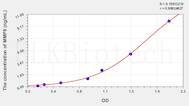 Rat MMP8(Matrix Metalloproteinase 8) ELISA Kit