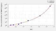 Mouse MMP8(Matrix Metalloproteinase 8) ELISA Kit