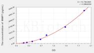 Rat MMP7(Matrix Metalloproteinase 7) ELISA Kit