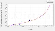 Rat MMP10(Matrix Metalloproteinase 10) ELISA Kit