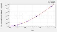 Rat BMP7(Bone Morphogenetic Protein 7) ELISA Kit